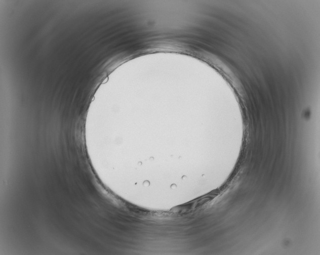 X0000116431433201001191501