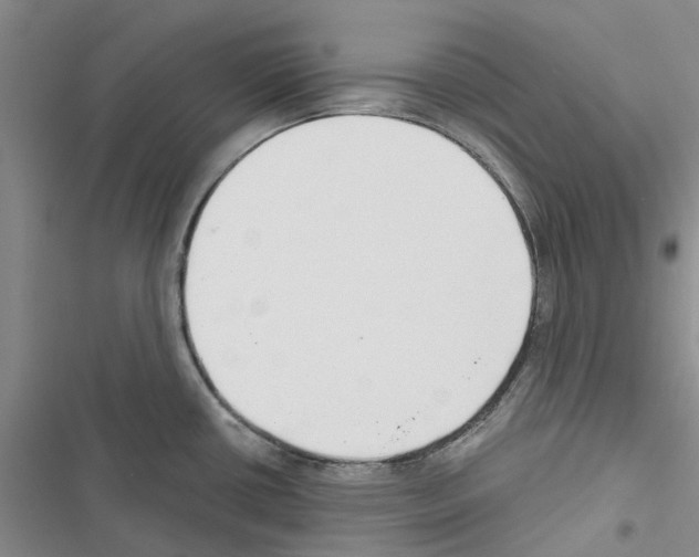 X0000116431434201001191501