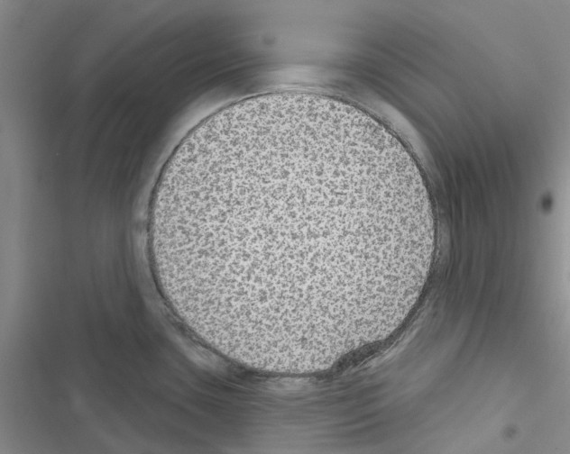 X0000116431435201001191501