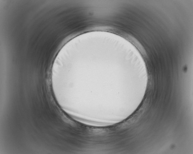 X0000116431436201001191501