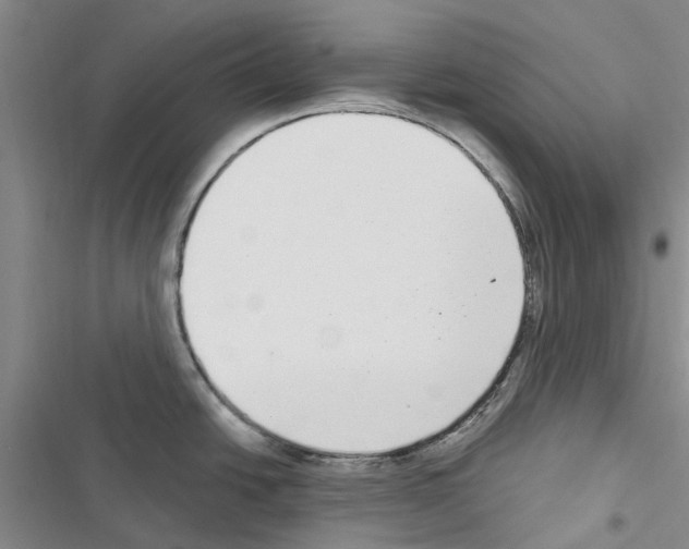 X0000116431438201001191501