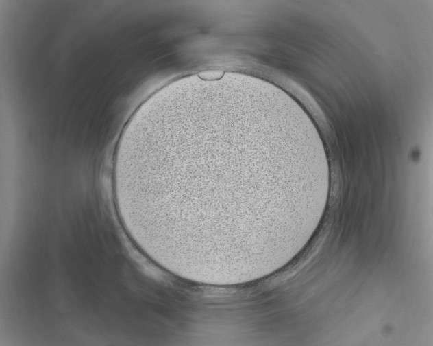 X0000116431439201001191501
