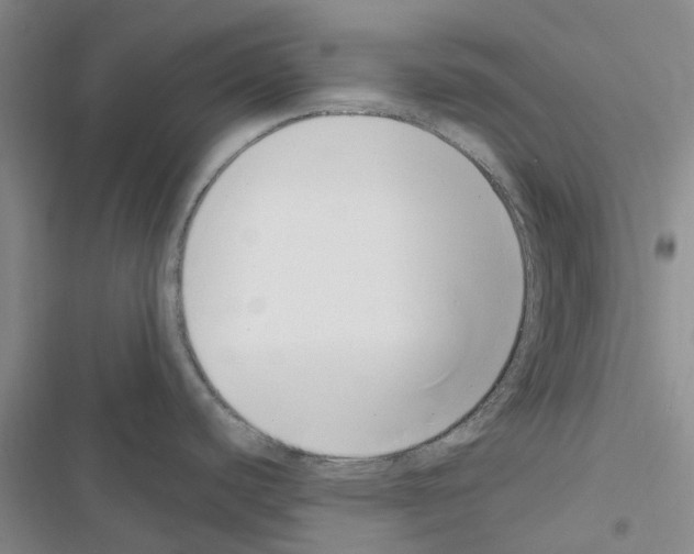 X0000116431440201001191502