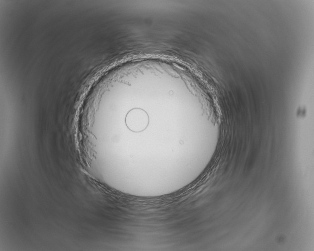 X0000116431441201001191501