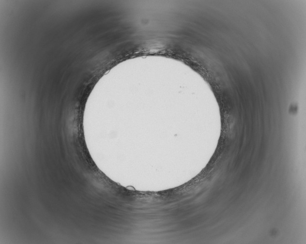 X0000116431442201001191501