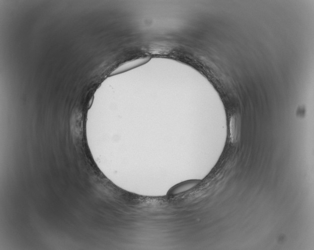 X0000116431443201001191501