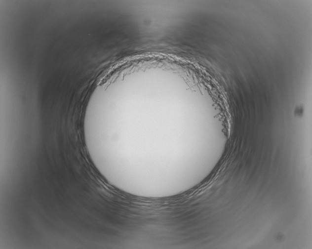 X0000116431444201001191501