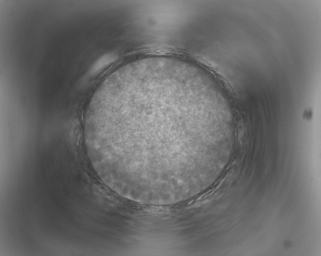 X0000116431446201001191501