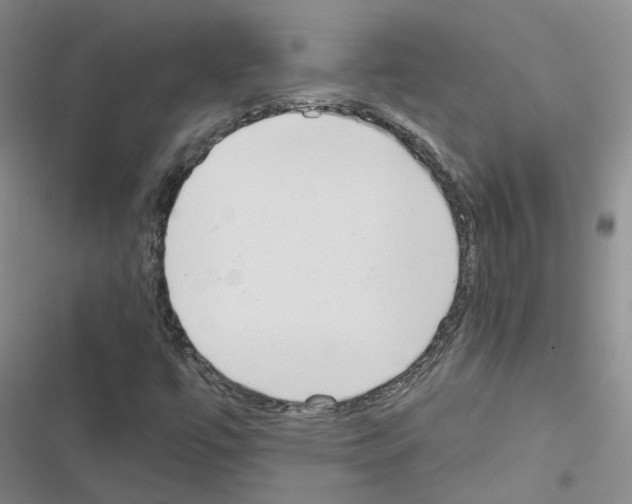 X0000116431447201001191501