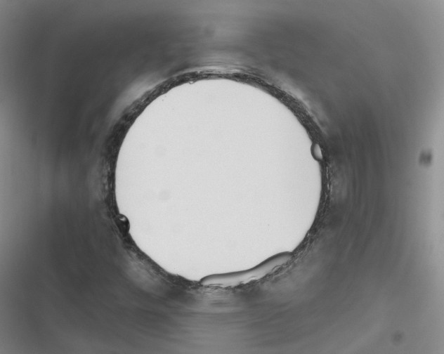 X0000116431448201001191501