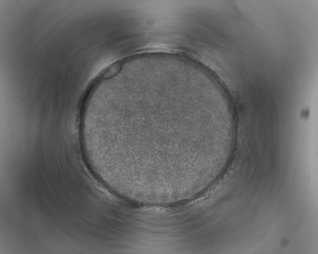 X0000116431450201001191501