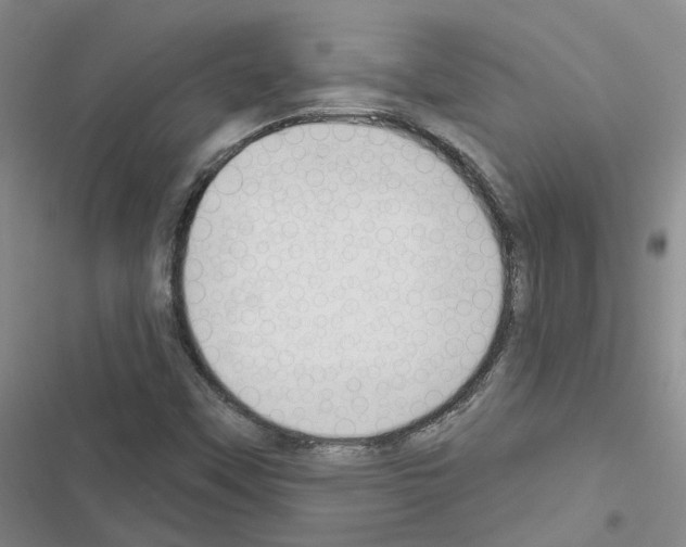 X0000116431451201001191501