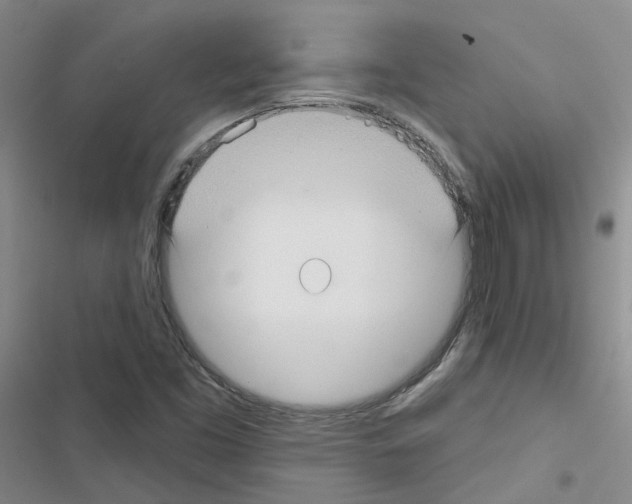 X0000116431453201001191501