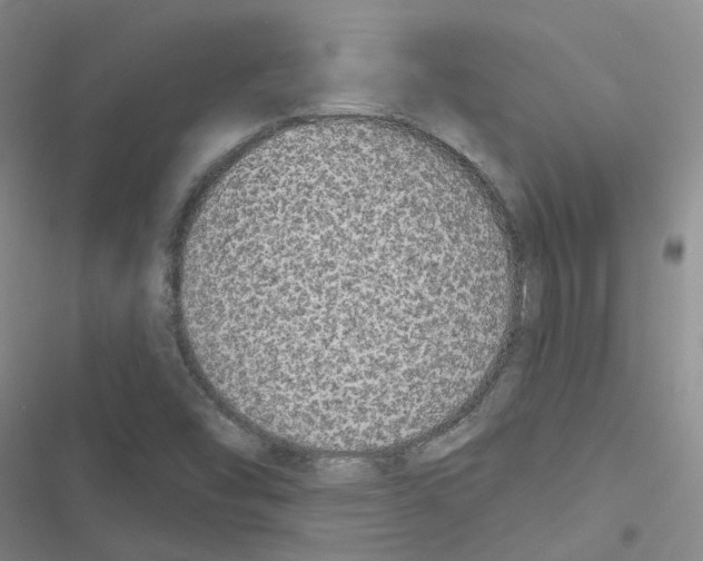 X0000116431454201001191501