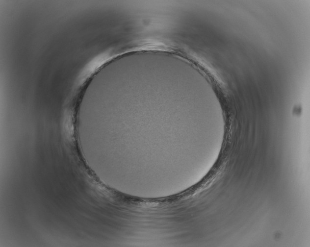 X0000116431455201001191501