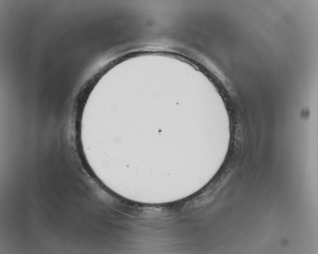 X0000116431456201001191501