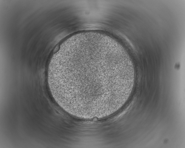 X0000116431457201001191501