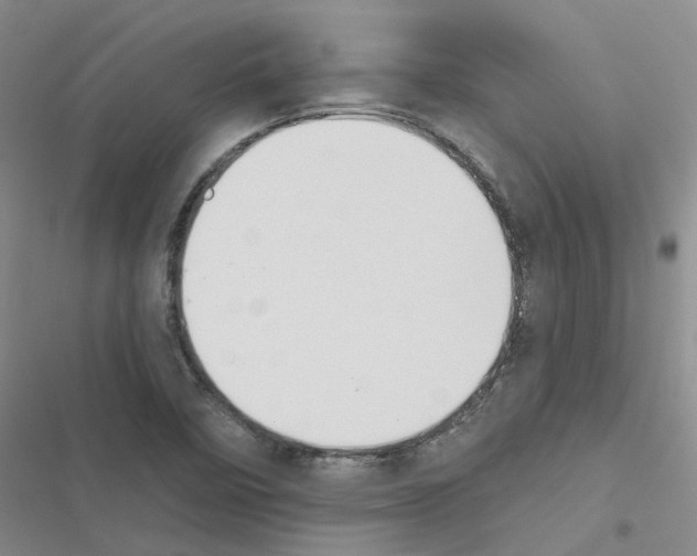 X0000116431458201001191501