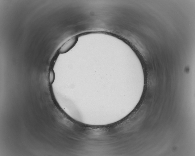 X0000116431460201001191501