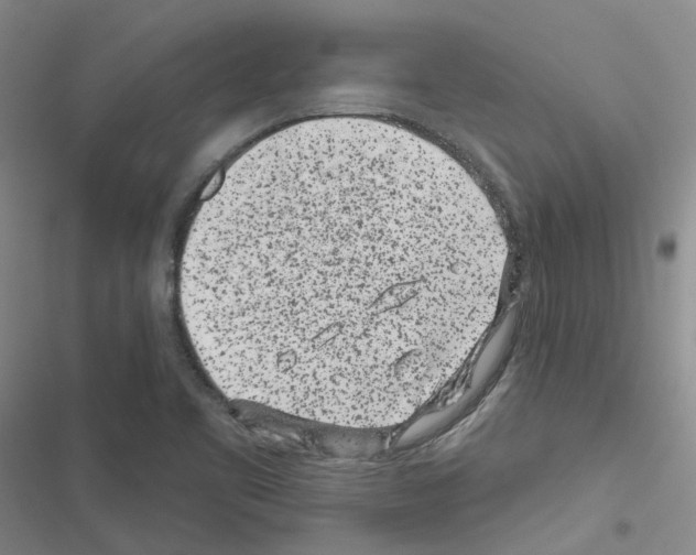 X0000116431461201001191501