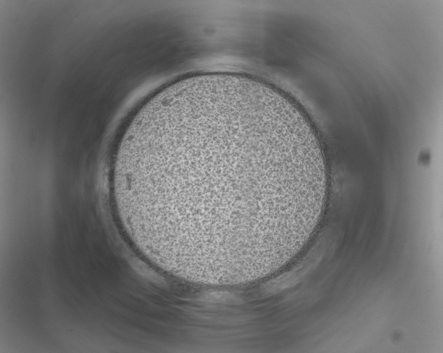 X0000116431462201001191501