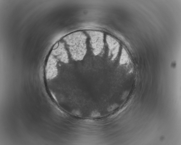 X0000116431463201001191501