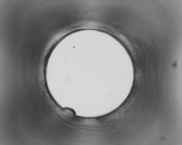 X0000116431464201001191501