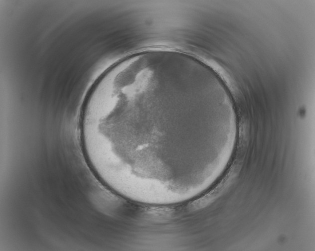 X0000116431466201001191501