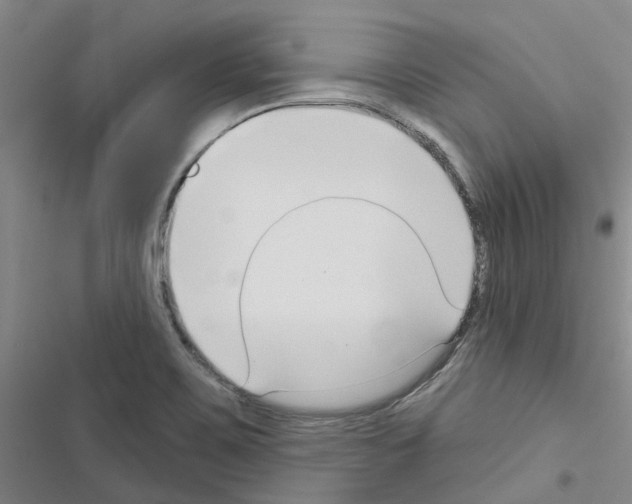 X0000116431467201001191501