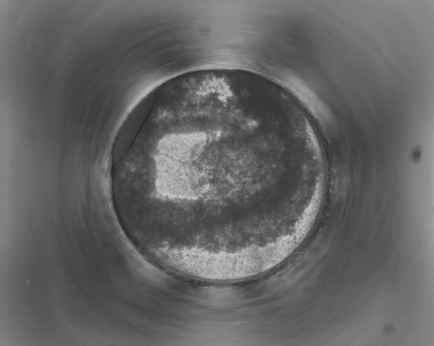 X0000116431468201001191500