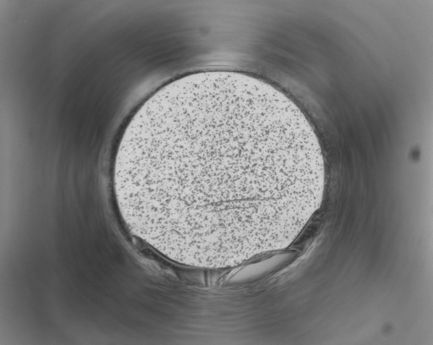 X0000116431469201001191500