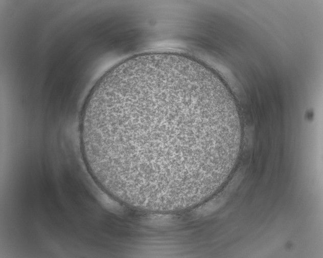 X0000116431470201001191500