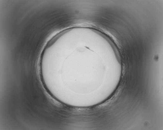 X0000116431471201001191500