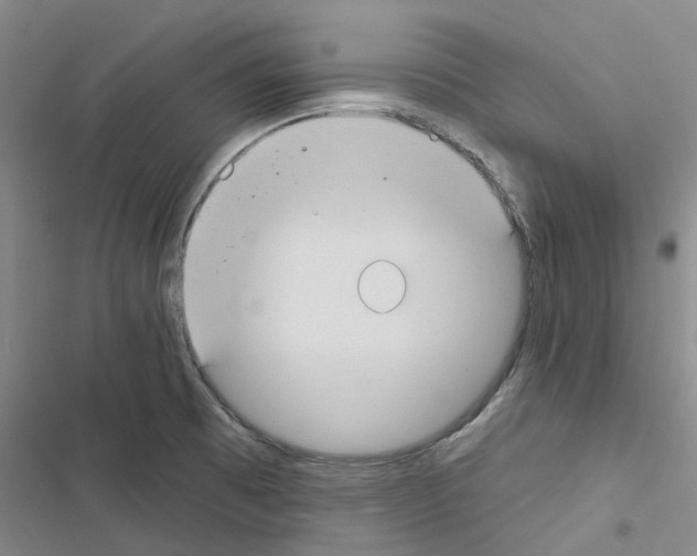 X0000116431473201001191500