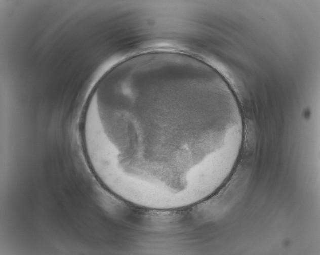 X0000116431474201001191500