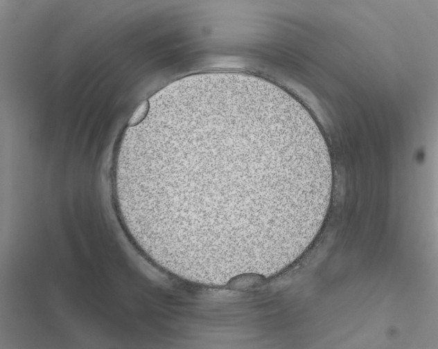 X0000116431475201001191500
