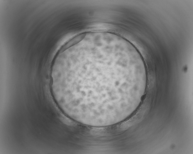 X0000116431477201001191500