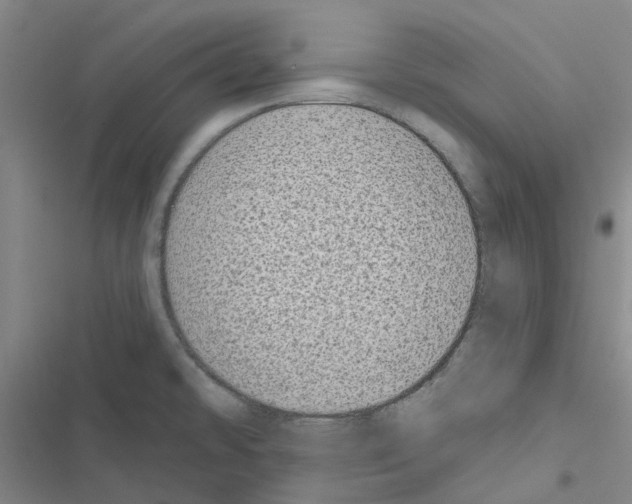 X0000116431478201001191500