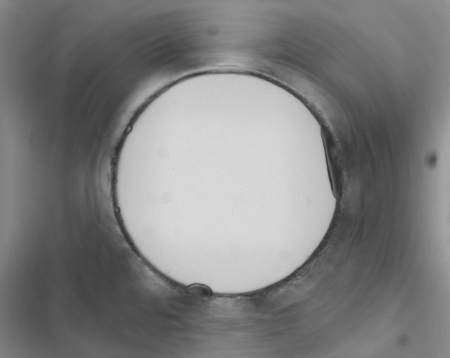 X0000116431480201001191500