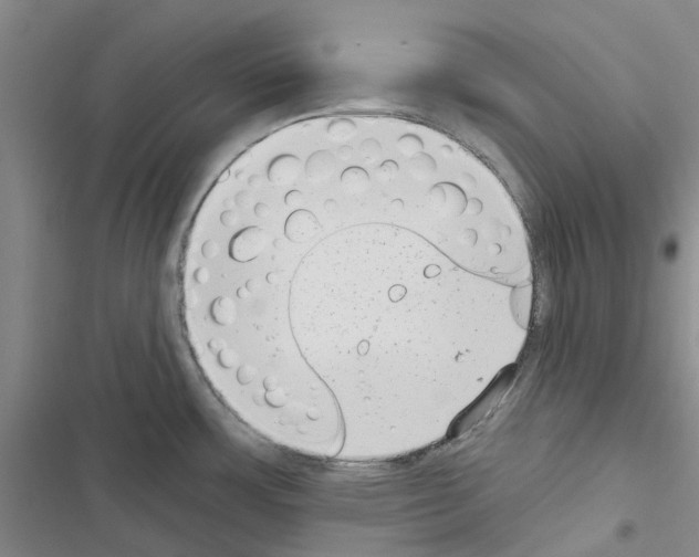 X0000116431483201001191500