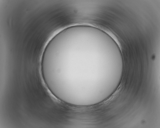 X0000116431485201001191500