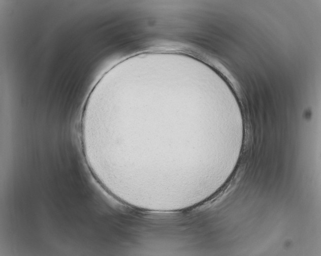 X0000116431487201001191500