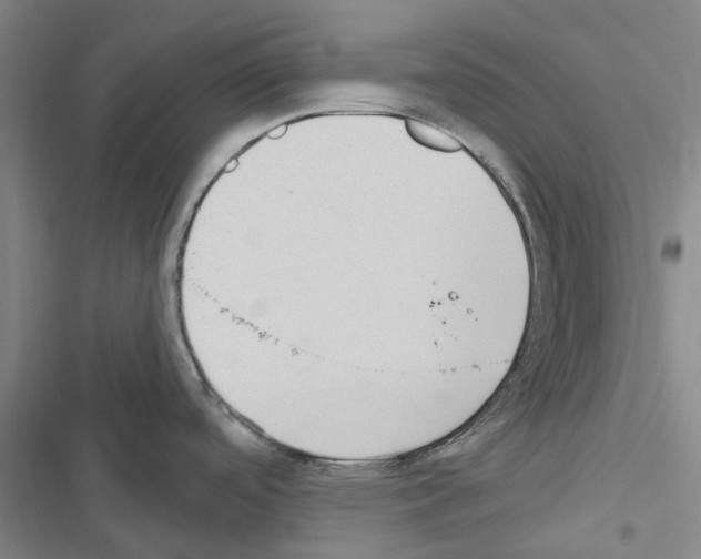 X0000116431488201001191500