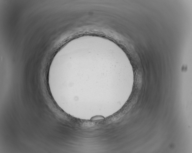 X0000116431489201001191500