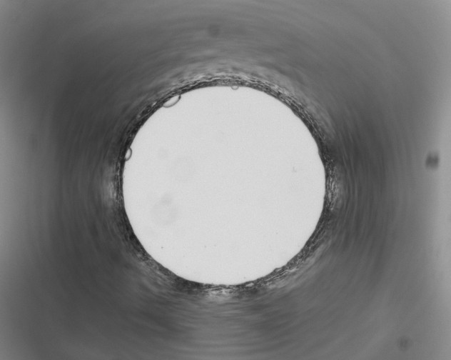 X0000116431490201001191500