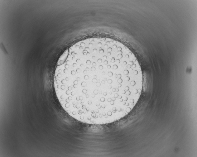 X0000116431491201001191500