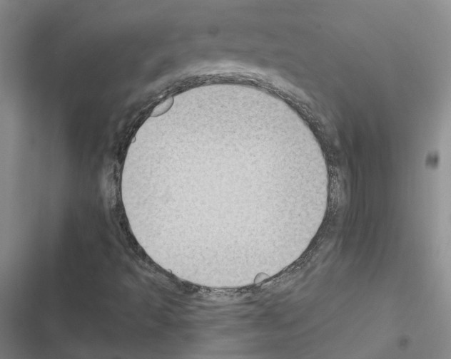 X0000116431493201001191500