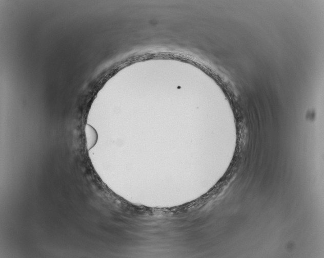X0000116431494201001191500