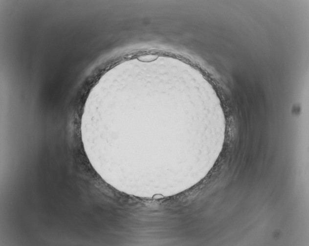 X0000116431495201001191500