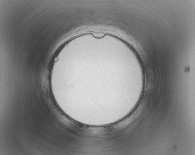 X0000116431498201001191500